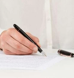 Montblanc Meisterstück 145 Rose Gold Trim Fountain Pen -Fine Pen Shop 5645 1450