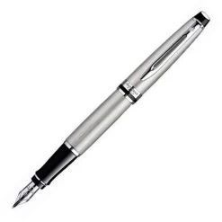 Waterman Expert Stainless Steel PT Fountain Pen